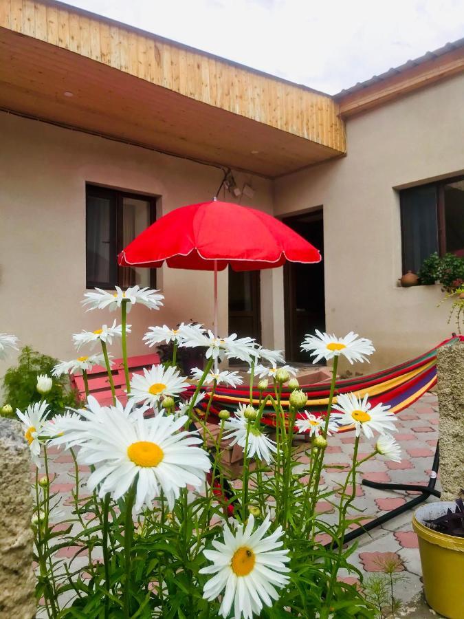 Guesthouse And Cottage Nicolo Stepancminda Exteriér fotografie